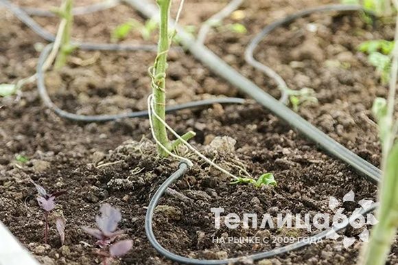 Дополнительный сегмент к системе полива Водомерка 2 м